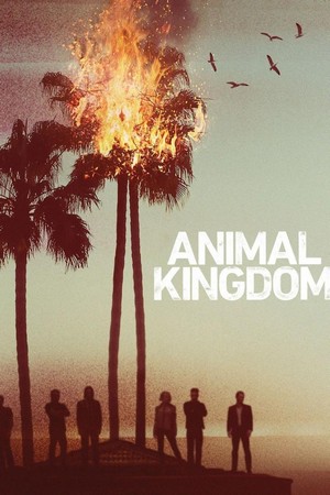 Animal Kingdom (2016 - 2022) - poster