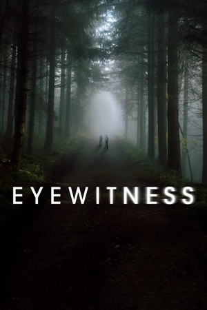 Eyewitness (2016 - 2016) - poster