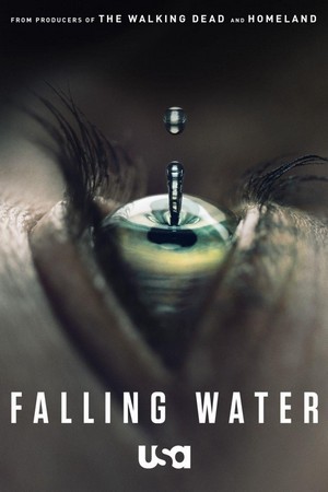 Falling Water (2016 - 2018) - poster