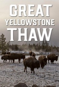 Great Yellowstone Thaw - poster