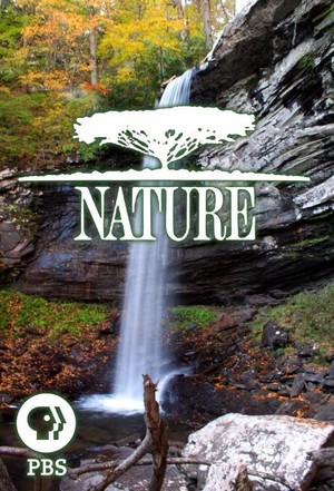 Nature (1982 - 2023) - poster