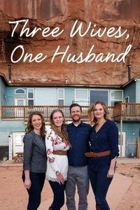 Three Wives, One Husband - poster