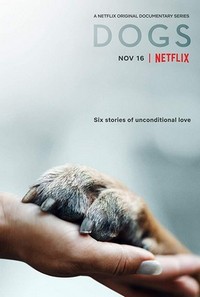 Dogs (2018 - 2021) - poster