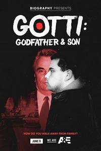 Gotti: Godfather & Son - poster