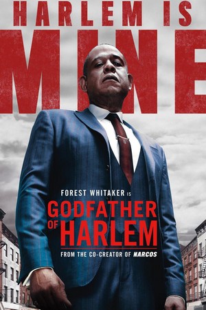Godfather of Harlem (2019 - 2024) - poster