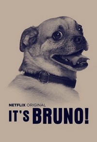 It's Bruno! (2019 - 2019) - poster