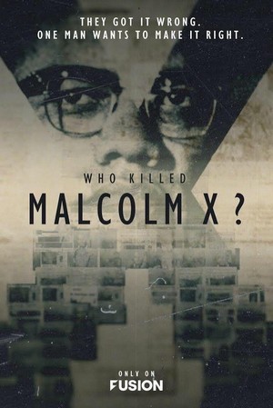 Who Killed Malcolm X? - poster