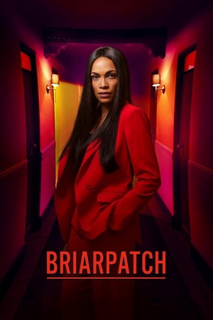 Briarpatch (2020 - 2020) - poster