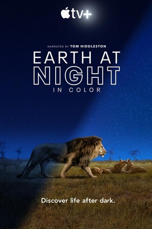 Earth at Night in Color (2020 - 2021) - poster