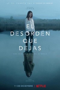 El Desorden Que Dejas - poster