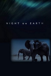 Night on Earth (2020 - 2020) - poster