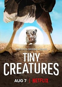 Tiny Creatures (2020 - 2020) - poster