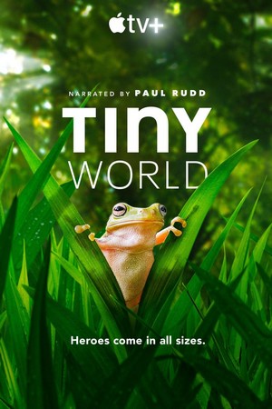 Tiny World (2020 - 2021) - poster
