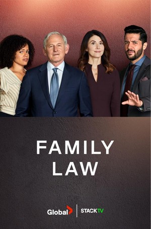 Family Law (2021 - 2023) - poster
