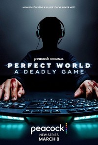 Perfect World: A Deadly Game - poster