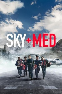 SkyMed (2022 - 2024) - poster