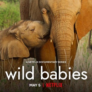 Wild Babies (2022 - 2022) - poster