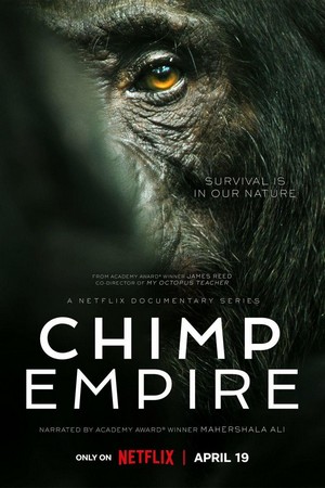 Chimp Empire - poster