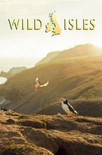 Wild Isles - poster