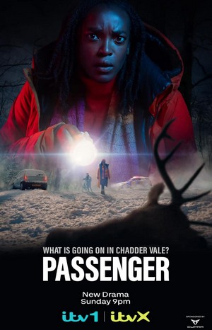 Passenger (2024 - 2024) - poster
